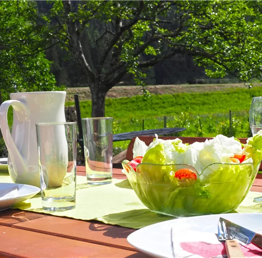 Heute mal im Garten essen...