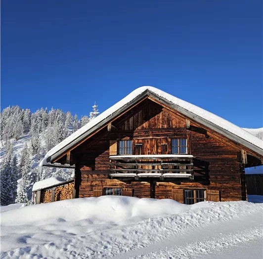 Hinterrohrgut Almhütte