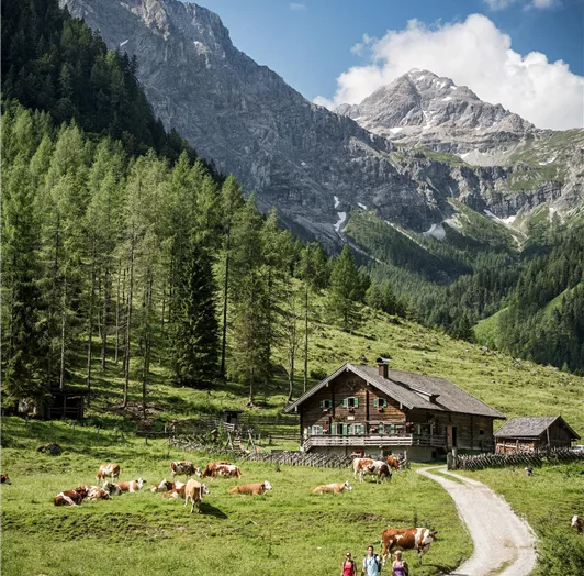 HM_Flachau_0243_Web