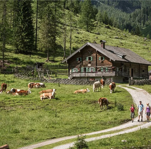 HM_Flachau_0249_low