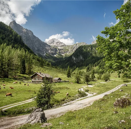 HM_Flachau_0221