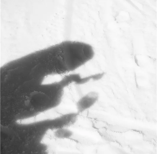 Hotel-Vier-Jahreszeiten-77