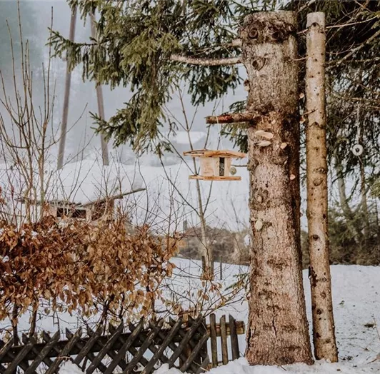 Die Vögel möchten gefüttert werden!!
