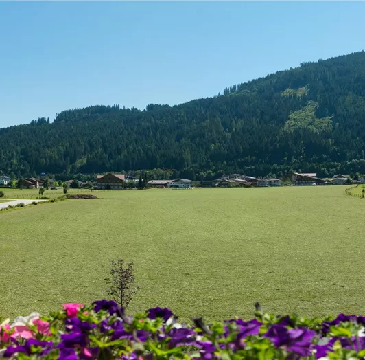 Eine weite grüne Wiese umgeben von Bergen und Bäumen. Im Vordergrund blühen bunte Blumen.