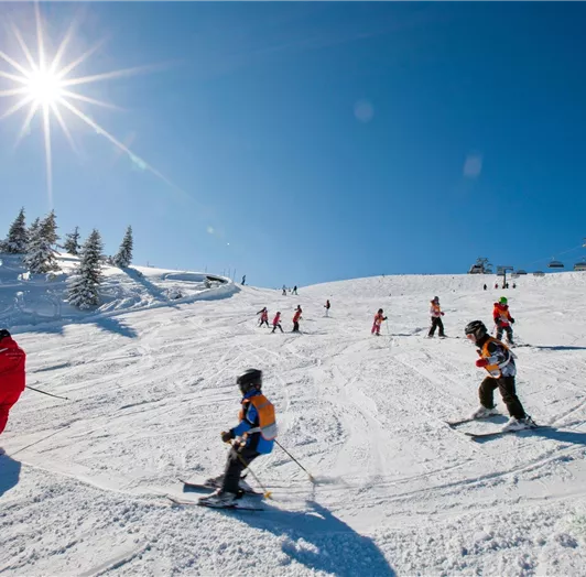 Ikarus_0625-1724149868-O