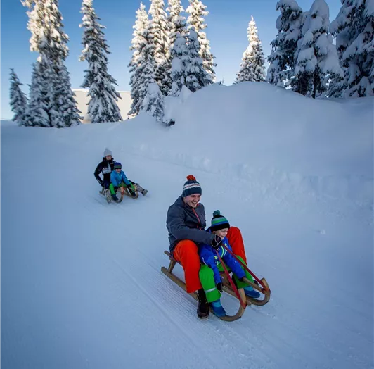 Ikarus_2256-3050950156-O