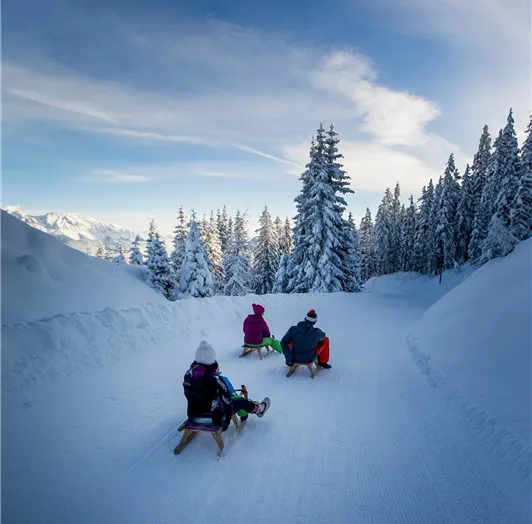 Ikarus_2259-3050950919-O