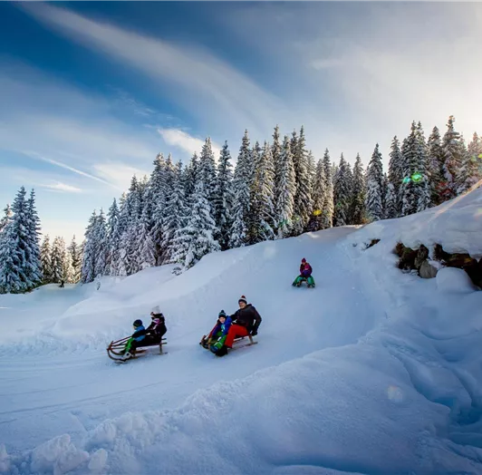 Ikarus_2296-3050947392-O