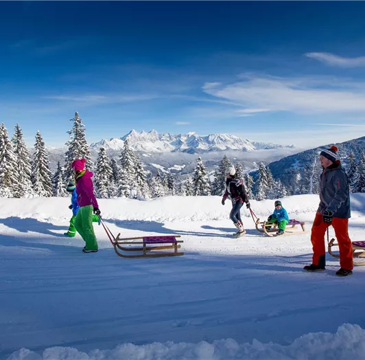 Ikarus_2433-3050942366-O