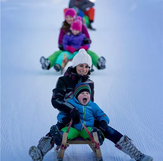 Ikarus_3028-3050925374-O