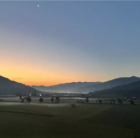 IMG_1347