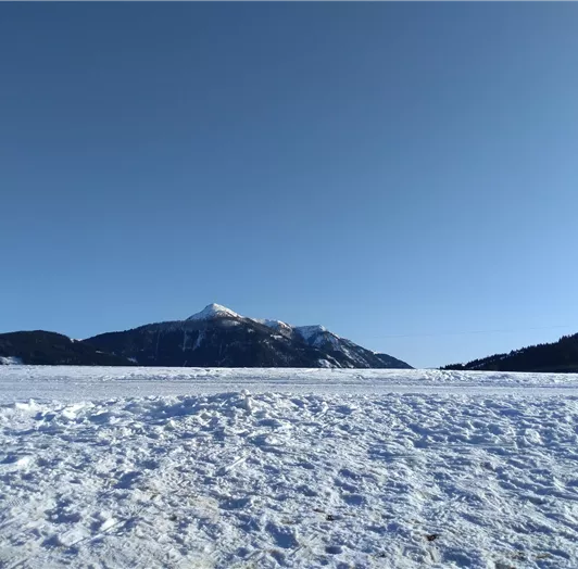 Herrlich Langlaufen rund um das Schloss Höch mit Blick auf den Lackenkogel