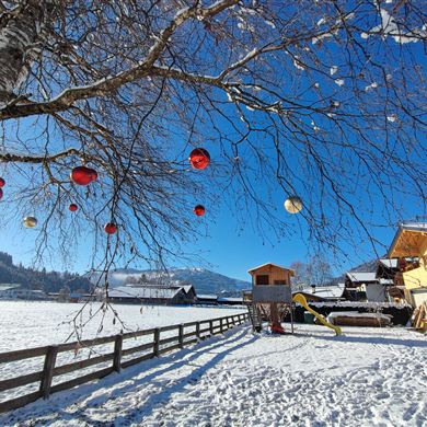 Ein klarer blauer Himmel wachs über einem verschneiten Landschaft mit einem Baum, der mit roten und goldenen Kugeln geschmückt ist. Im Hintergrund sind Haus TipTop und ein Spielplatz zu sehen.