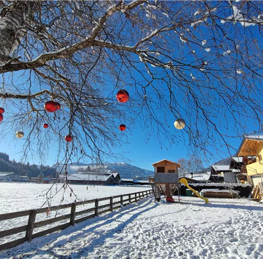 Ein klarer blauer Himmel wachs über einem verschneiten Landschaft mit einem Baum, der mit roten und goldenen Kugeln geschmückt ist. Im Hintergrund sind Haus TipTop und ein Spielplatz zu sehen.