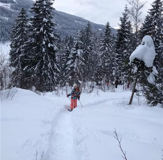 Schneeschuhwandern am eigenen Weg durch den Wald