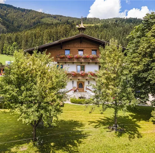 Unser Haus umgeben von Bäumen und einer grünen Wiese.