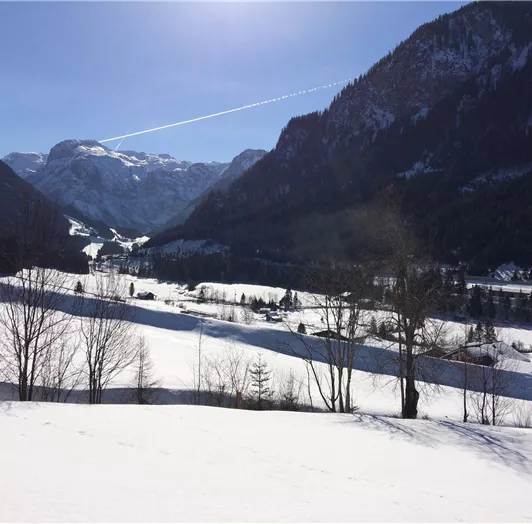 IMG_Maierlgut_Landschaft