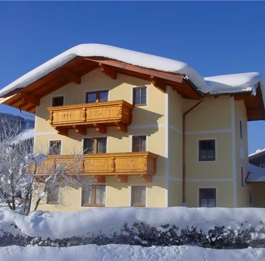 Kaml Franz - Haus im Winter