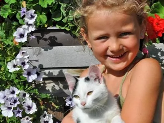 Ein Traum-Mädchen und Katzen