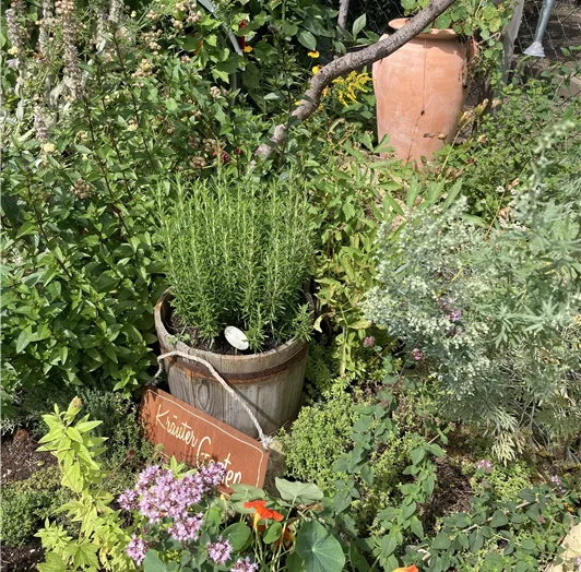 Kräutergarten