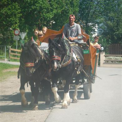 Kutschenfahrt