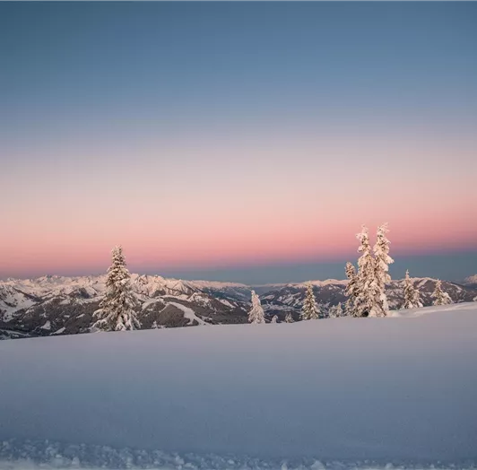 Making Of Fotoshooting - 14.02.2018 (1)