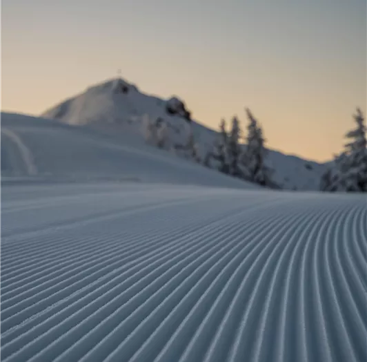 Making Of Fotoshooting - 14.02.2018 (19)