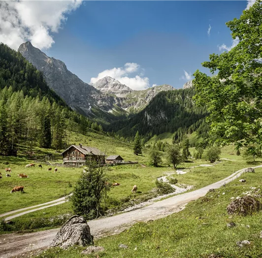 Marbachtal