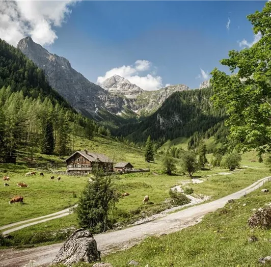 marbachtal-gross