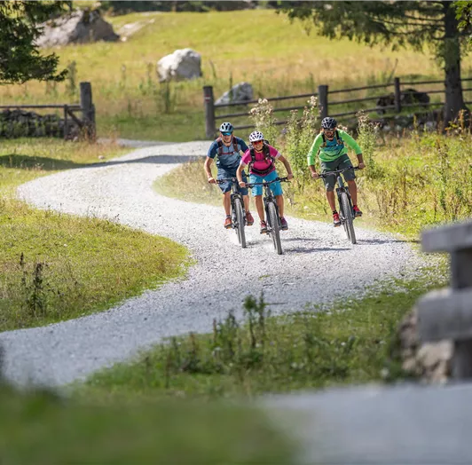 Mountain-Biken