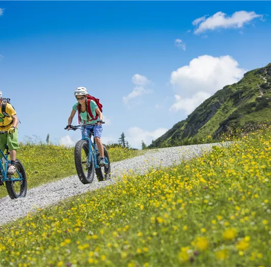 Zwei Mountainbiker fahren auf einem schmalen Weg durch eine grüne Wiese. Im Hintergrund sieht man sanfte Hügel und einen blauen Himmel mit Wolken.
