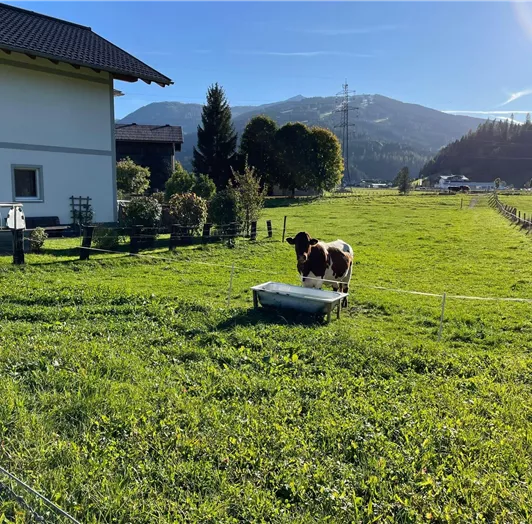 Nachbarn