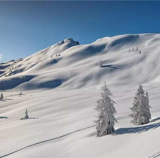 Traumhafte Bedingungen im Snow Space Salzburg-Flachau mit viel Neuschnee und Sonnenschein