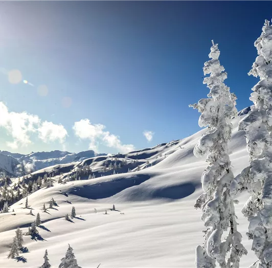 Natur pur 2 SC bearbeitet