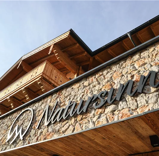 Natursinn Mountainchalet - Flachauwinkl