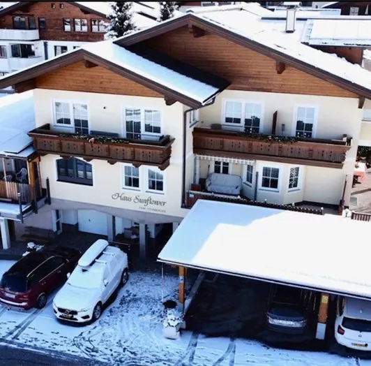 neues haus Sunflower1111