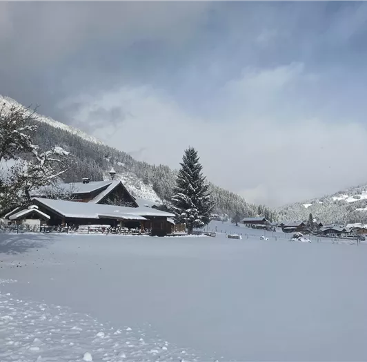 Neuschnee