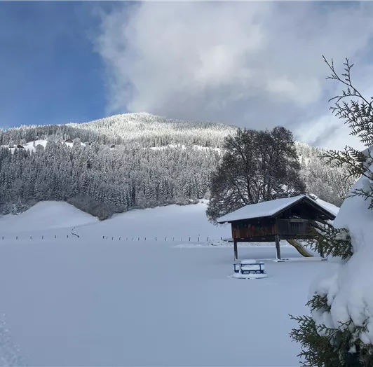 Neuschnee