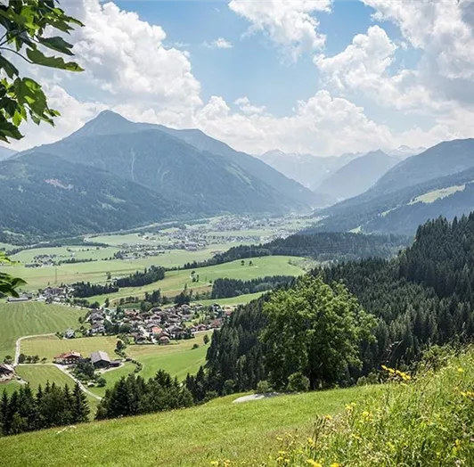 Ortsansicht-sommer