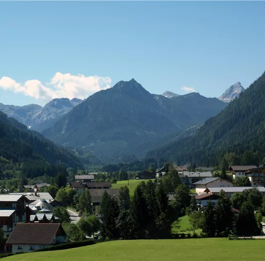 Ortsansicht Sommer39