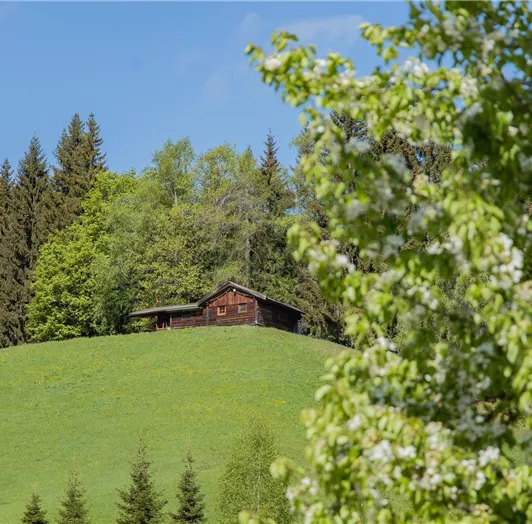Panoramahütte