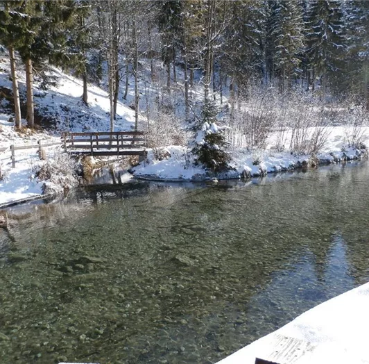 Parkanlage hinter dem Haus