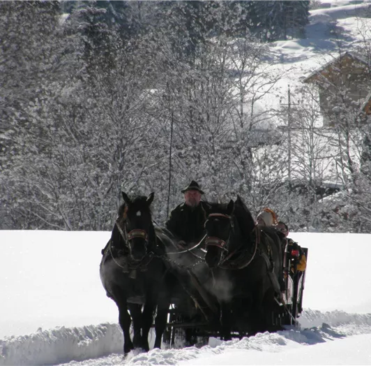 Pferdeschlitten 11 JK