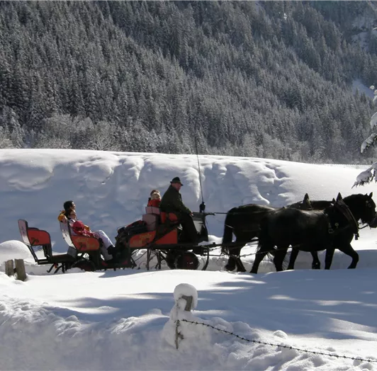 Pferdeschlitten 4 JK