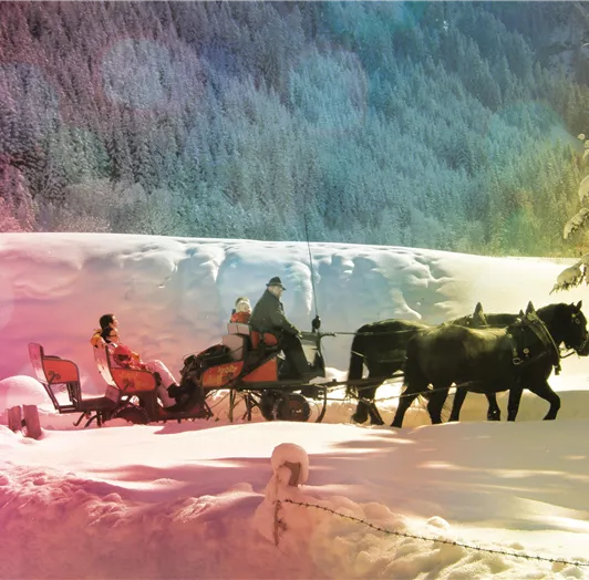 Pferdeschlitten 4 JK_gefiltert