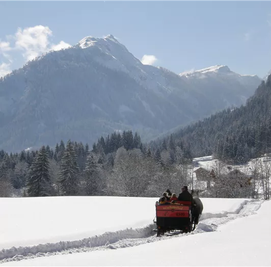 Pferdeschlitten 7 JK