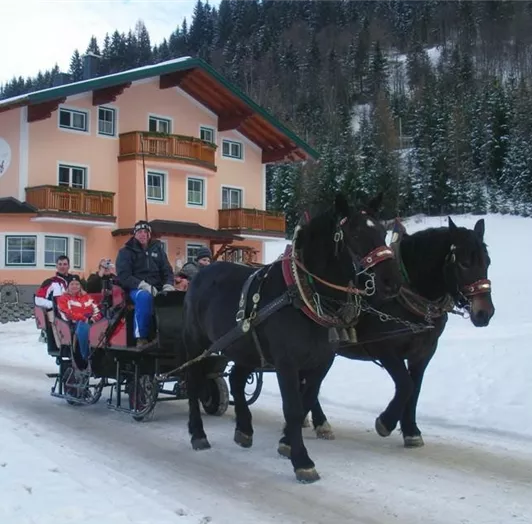 pferdeschlitten_flachau-gross