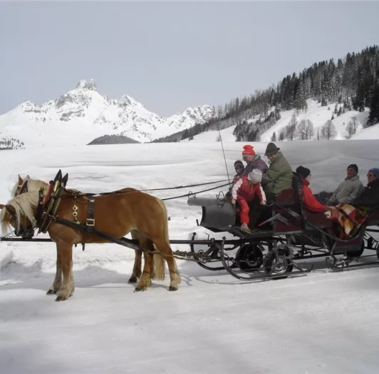 Pferdeschlittenfahrt im Winter