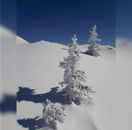 PicsArt_03-09-12.07.50