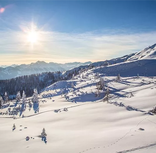 Eine verschneite Berglandschaft unter einem klaren Himmel, mit der Sonne, die hoch am Himmel steht. Im Vordergrund sind schneebedeckte Bäume und Berge zu sehen.